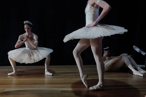 Ballet Paraisopolis by Livia